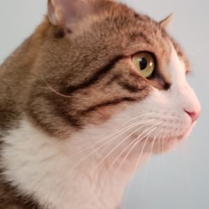 Meet your Posher, Julie